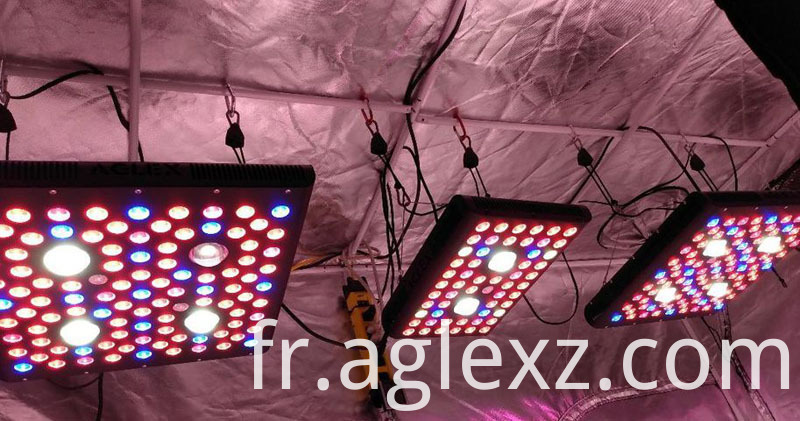 124021827_657589075119553_2995262787899312343_n 124021827_657589075119553_2995262787899312343_n